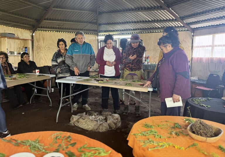 Agricultores de Magallanes participan en taller de conservación de semillas patrimoniales