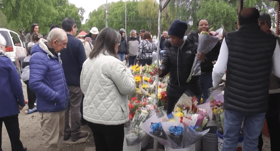 Venta de flores en el bandejón de Avenida Bulnes: una tradición que se mantiene viva cada 1 de noviembre