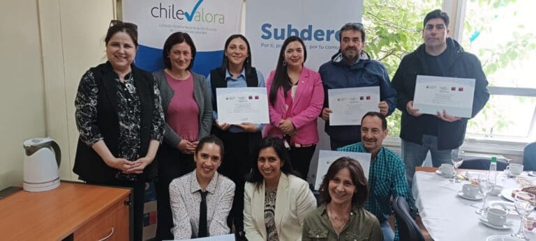 Primeros funcionarios municipales de Magallanes reciben certificación de ChileValora por competencias laborales