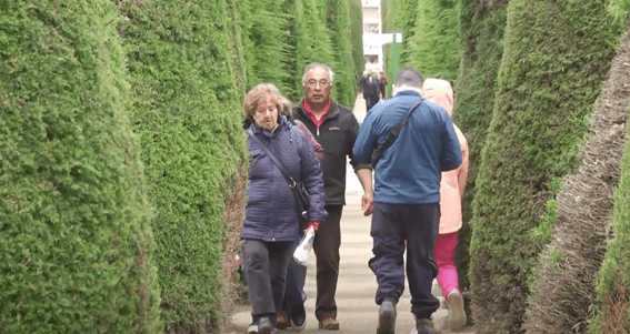 Miles de personas visitan el Cementerio de Punta Arenas en el Día de Todos los Santos