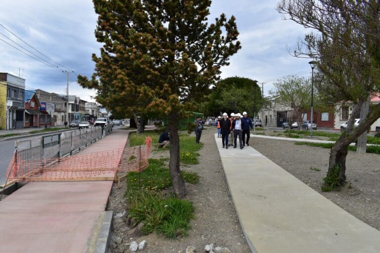 Uso de bicicletas en Punta Arenas supera los 220 mil desplazamientos en 2024