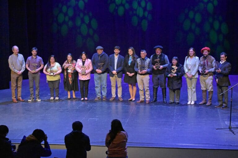 Diez cultores de Magallanes reciben los Premios Regionales de Cultura, Arte y Patrimonio 2024
