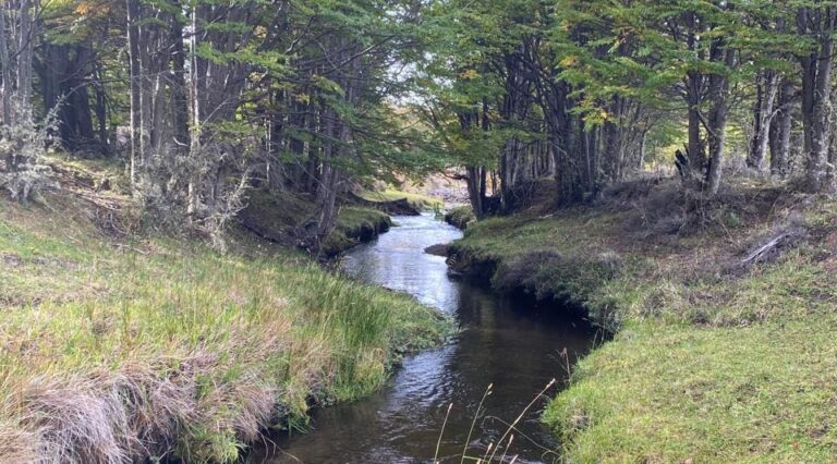 Se realizará jornada de acompañamiento para regularización de derechos de aguas en Río Verde
