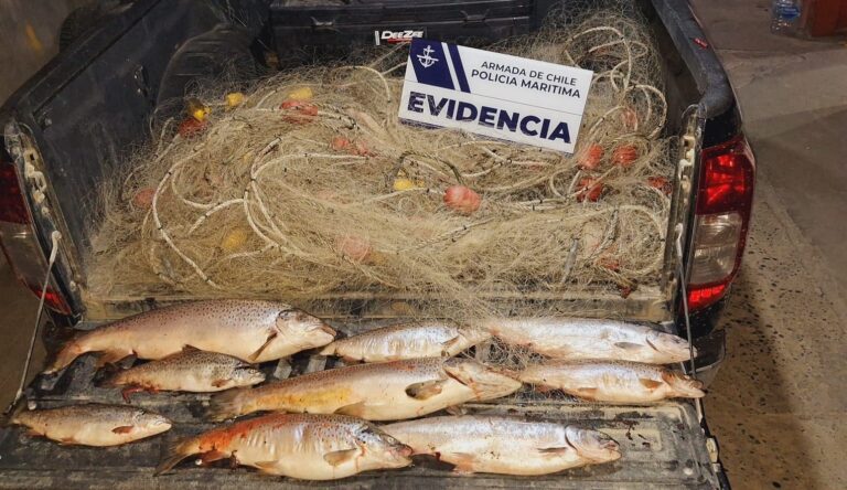 Sernapesca incauta redes caladas en la Laguna Sofía y reitera advertencia sobre pesca ilegal