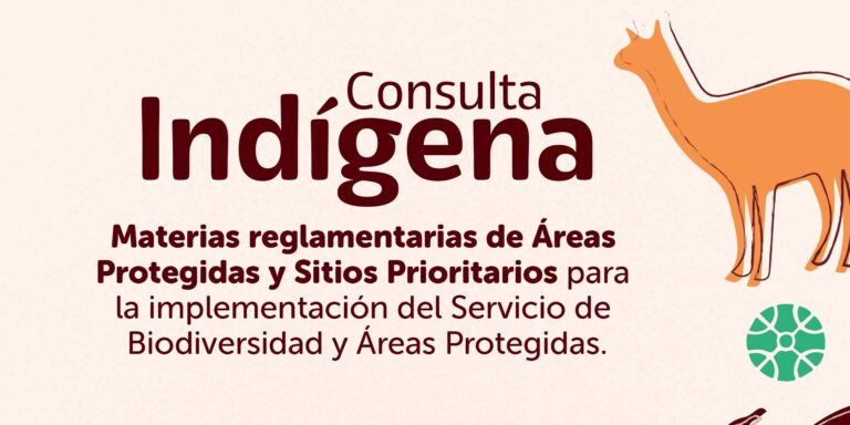 Consulta Indígena en Porvenir: un paso clave para regular áreas protegidas en Chile