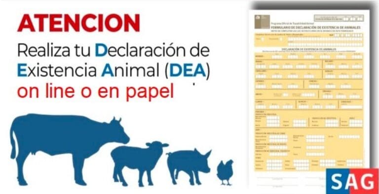SAG Magallanes recuerda la obligación de realizar la Declaración de Existencia Animal antes del 31 de diciembre