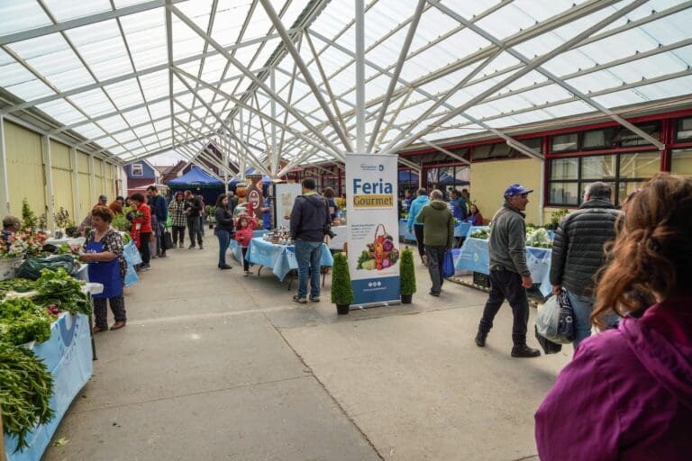Se desarrolló exitosa primera Feria Gourmet de frutas, verduras y productos locales en Punta Arenas