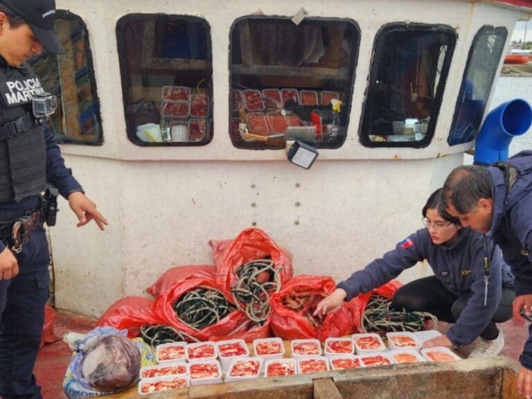 Sernapesca y Armada incautan centolla procesada y redes ilegales en Puerto Natales