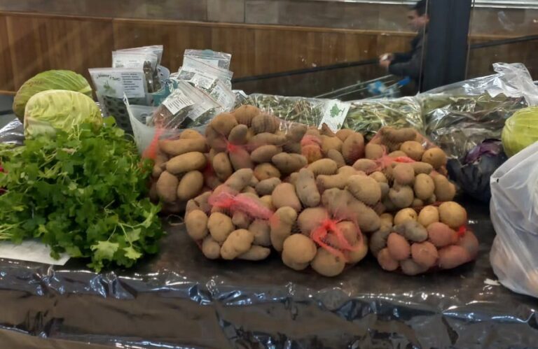 Punta Arenas da la bienvenida a una nueva versión del Mercado Campesino en la Costanera