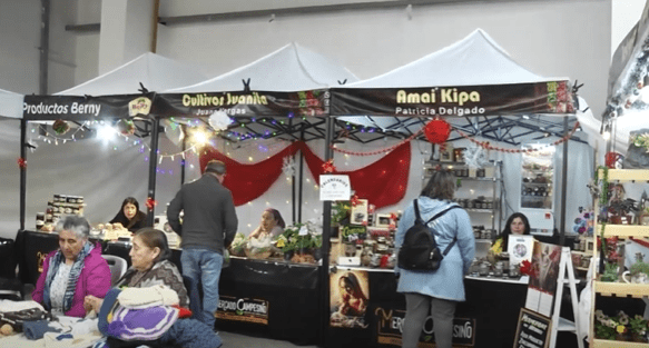 Mercado campesino de Indap estará en diversos puntos de Punta Arenas durante diciembre