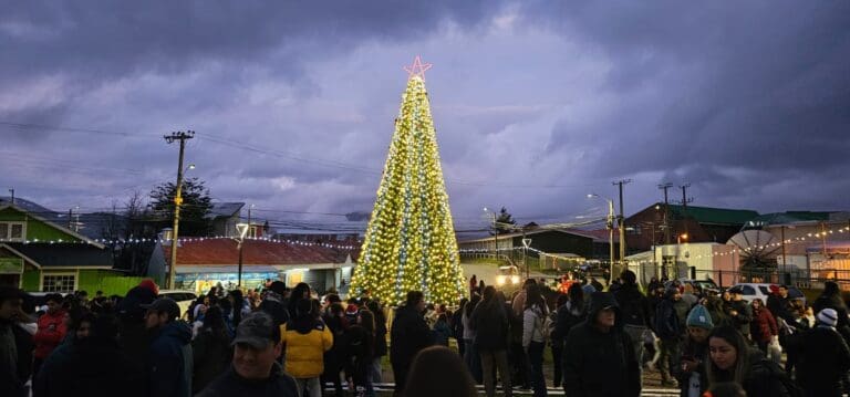 Punta Arenas se alista para una noche mágica con el encendido del árbol de Navidad