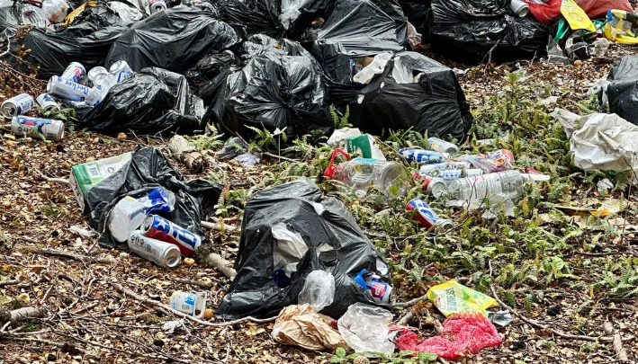 Bienes Nacionales fiscaliza terrenos en río San Juan y advierte sobre riesgos ambientales