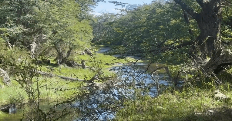 Municipio de Torres del Paine y Bienes Nacionales recuperan terreno fiscal en villa Río Serrano