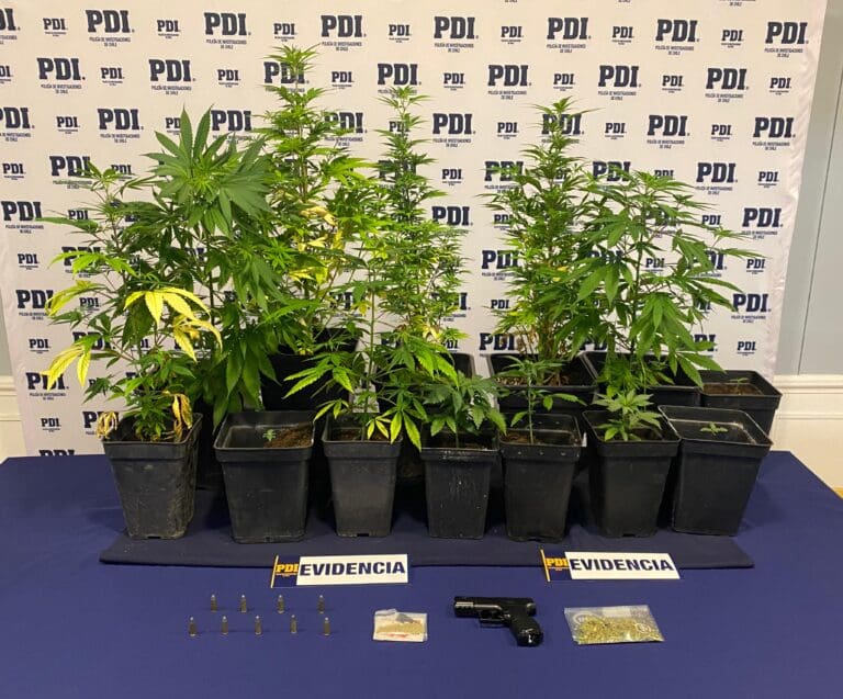 PDI detiene a hombre en Punta Arenas por lesiones, drogas y tenencia de armas