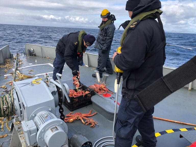 Armada y Sernapesca fortalecen fiscalización en la Provincia Antártica Chilena