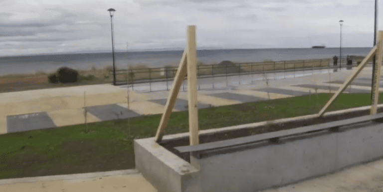 Decena de árboles fueron robados en futuro Parque de Costanera del Estrecho