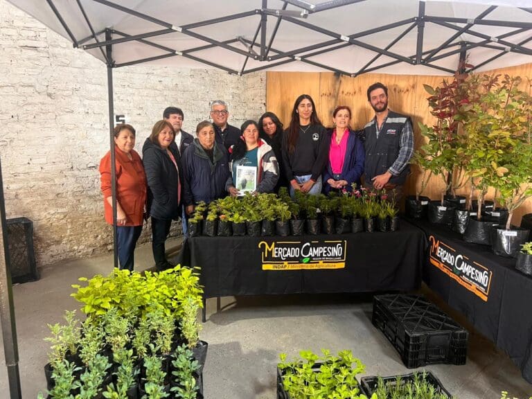 Punta Arenas recibirá una nueva versión del Mercado Campesino: productos locales frescos y de calidad