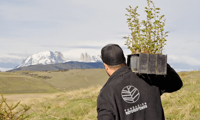 Fundación Reforestemos impulsa un ambicioso proyecto de vivero y reforestación en Magallanes