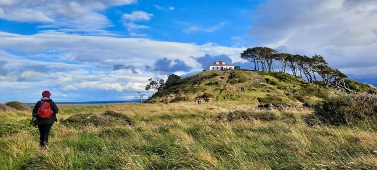 Parque Nacional Cabo Froward será tema central en encuentro global sobre restauración ecológica