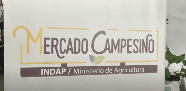 Mercados Campesinos y puntos de venta en Punta Arenas: promoviendo la producción local