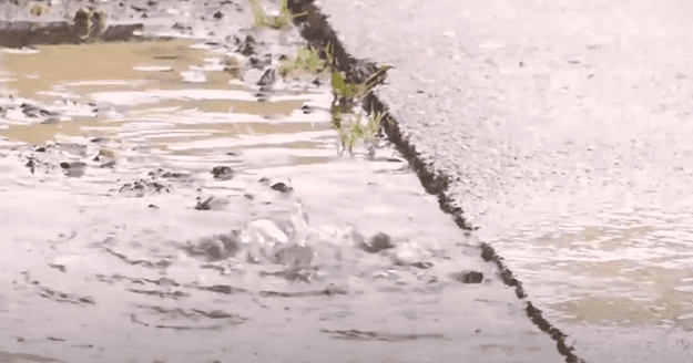 Vecinos de la Prolongación Capitán Guillermos aún enfrentan anegamientos tras lluvias del invierno pasado